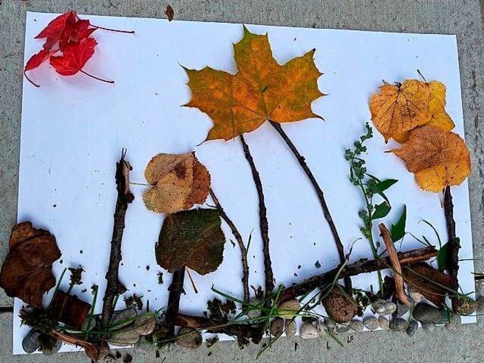 Ein Herbst-Bild von Leon Weichert  | Foto: Privat