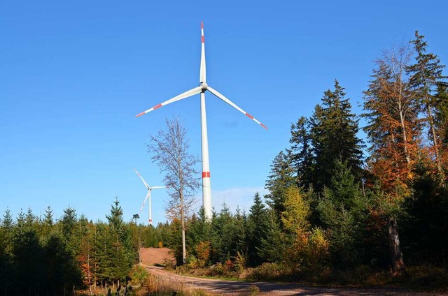 Die beiden ersten Windrder am Rotzele...ach, die seit einem Jahr am Netz sind.  | Foto: Nikolaus Bayer