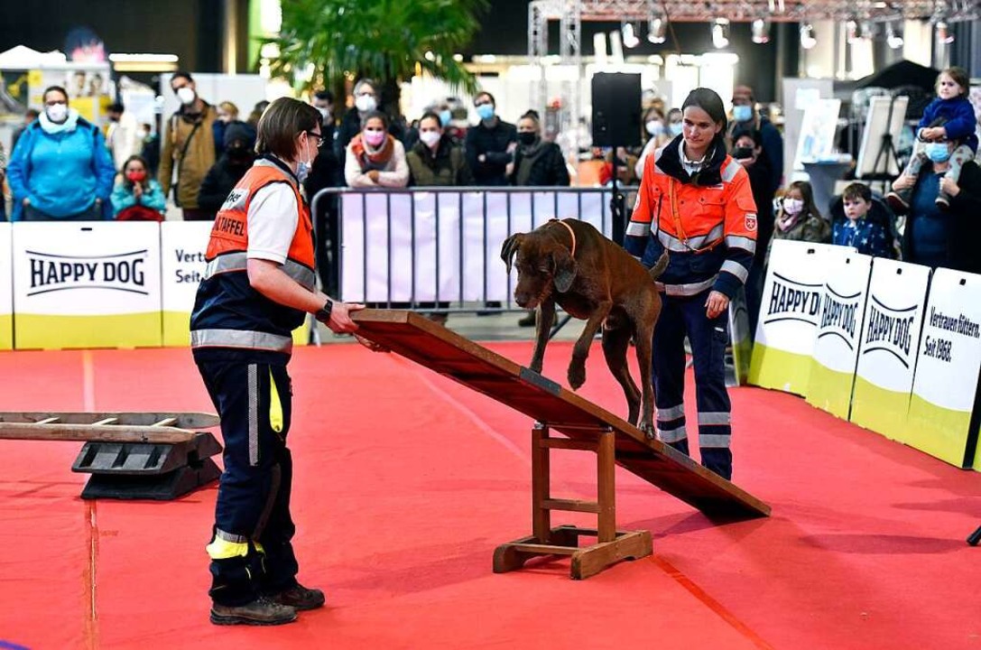Die Malteser zeigten, was Rettungshunde können.  | Foto: Thomas Kunz