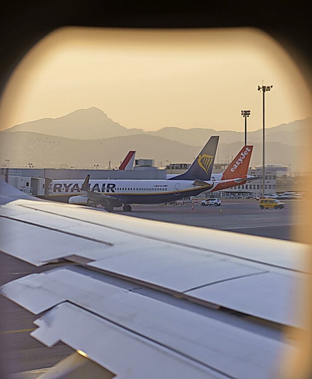 Flugzeuge auf dem Flughafen von Palma de Mallorca (Archivbild)  | Foto: Andreas Arnold (dpa)