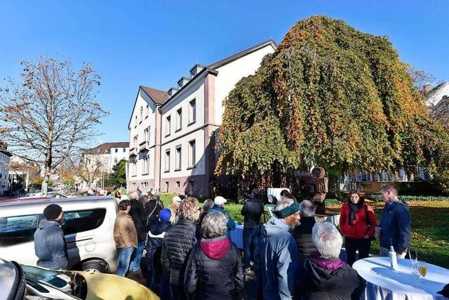 Freiburg bekommt 30 neue Naturdenkmale
