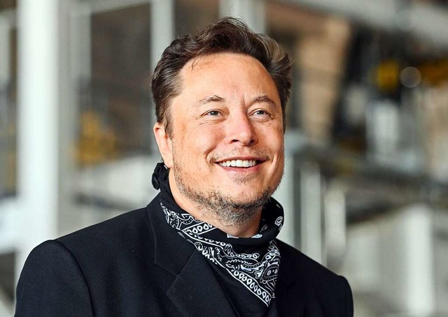 Elon Musk   | Foto: Patrick Pleul (dpa)