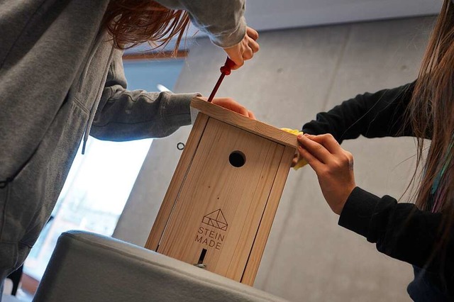 In Teamarbeit bauen Sechstklsslerinnen das Vogelhaus zusammen.  | Foto: Lisa Petrich