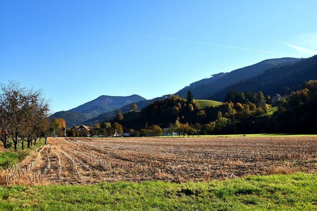 Hier soll nach dem Willen des Gemeinde...s Gewerbegebiet Niederbruck entstehen.  | Foto: Horst Dauenhauer