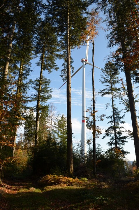 Die Windenergieanlage 3 am Rotzeleck i...en anderen, mit 229 Meter Gesamthöhe.   | Foto: Nikolaus Bayer