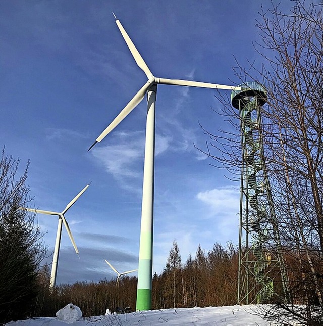 Windrder auf dem Schnrbuck  | Foto: Ettenheimer Brgerenergie