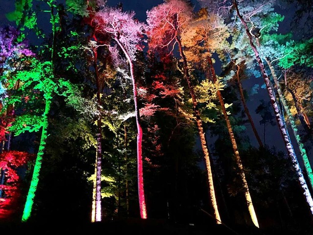 Eindrucksvoll illuminierte Bume, wie sie im Stadtpark zu sehen sein werden.  | Foto: Stadt Lahr
