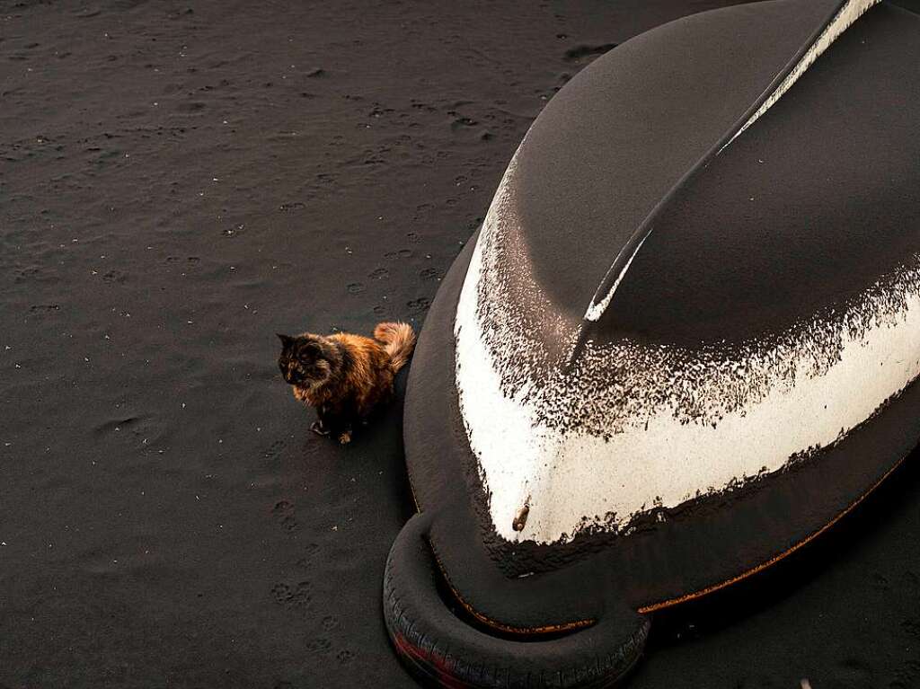 Eine Katze sitzt neben einem Boot, das mit Asche aus einem Vulkan in Puerto Nau auf der Kanareninsel La Palma bedeckt ist.