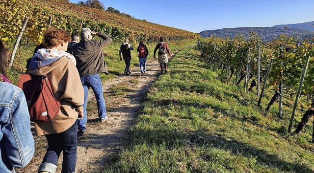 Eine Exkursion im BUND-Erlebnisprogram...ber den Westhang des Tllinger Bergs.  | Foto: Pressefoto BUND