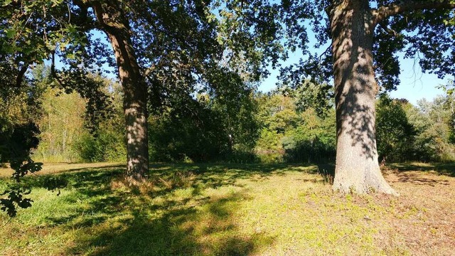 Auf diesem Gelnde in Ichenheim sollen...tandesamtlichen Trauungen stattfinden.  | Foto: Gemeinde Neuried