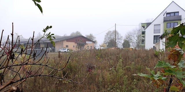 Die beiden freistehenden Einfamilienh...rfamilienhaus (rechts) gebaut werden.   | Foto: Hans-Peter Mller