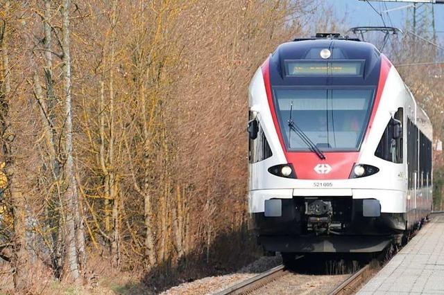 Die Industrie- und Handelskammern fordern den Ausbau der trinationalen S-Bahn