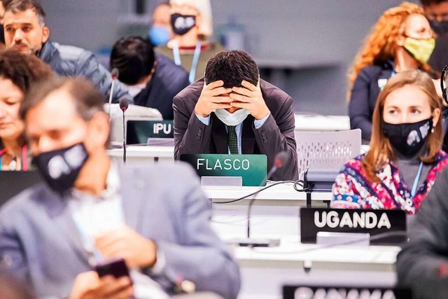 Ein Delegierter sitzt bei der UN-Klima...d hat den Kopf auf die Hnde gestrzt.  | Foto: Christoph Soeder (dpa)