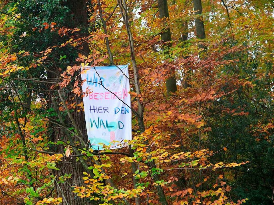 Transparente weisen den Weg zu den Waldbesetzern.  | Foto: Beatrice Ehrlich