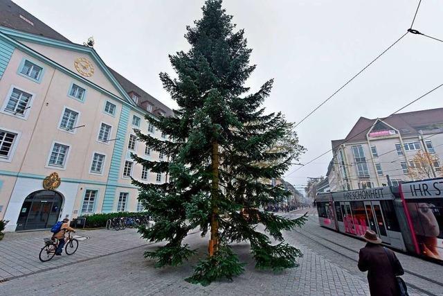 Freiburgs größter Weihnachtsbaum steht am Europaplatz