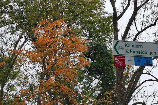 Eimeldingens Wald ist klein, hat fr die Bevlkerung aber groen Nutzen