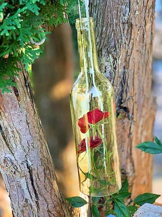 Die Rose in der Flasche  | Foto: Hans-Joachim Adolf