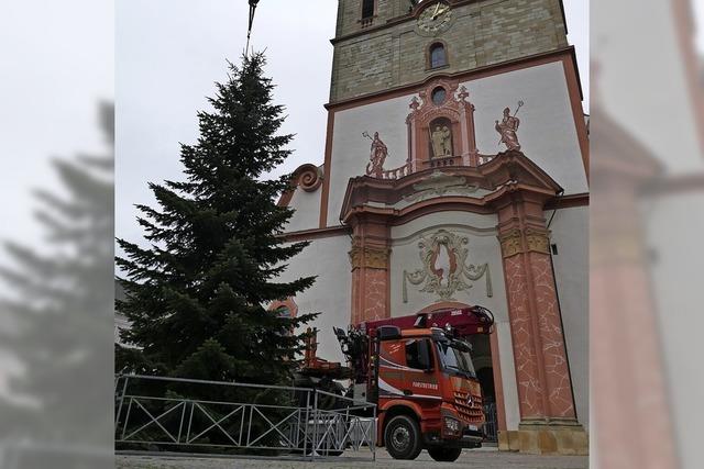 Der Weihnachtsbaum steht