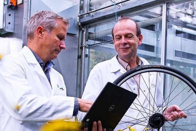 Wissenschaftler arbeiten an Fahrradreifen aus Löwenzahn