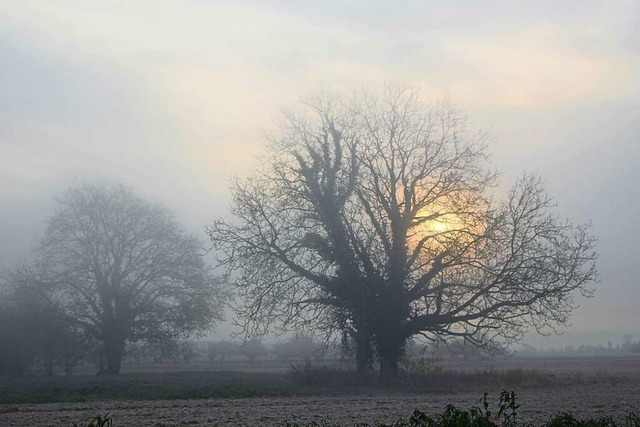Nebelschwaden ber einem Acker bei Weisweil.  | Foto: Cornelia Ferdinand