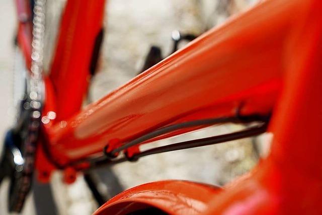 Im Kreis Lrrach werden immer mehr hochwertige Fahrrder und E-Bikes gestohlen