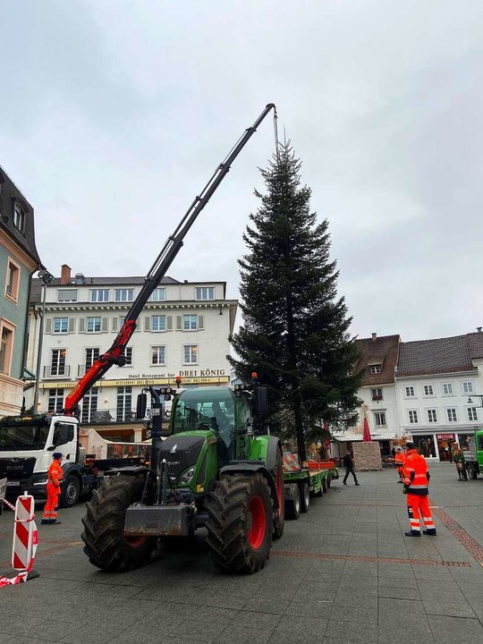 Der Weihnachtsbaum wird aufgerichtet.  | Foto: Fabian Sickenberger