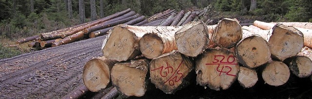 Stammholz aus dem Wald wirft wieder Gewinn ab.   | Foto: Karl Meister