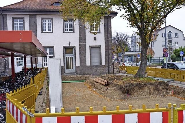 Bike und Bahn mit Baum