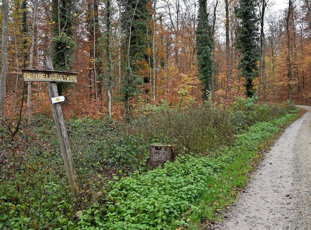 Die Bilder zeigen den Dngeligeistweg ... muss dafr zeitweise gesperrt werden.  | Foto: Heinz und Monika Vollmar