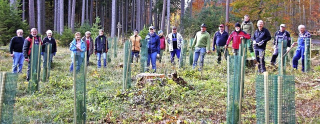 Der Schwarzwaldverein Sthlingen hatte...0 der 1400 geplanten Bume gepflanzt.   | Foto: suedkurier