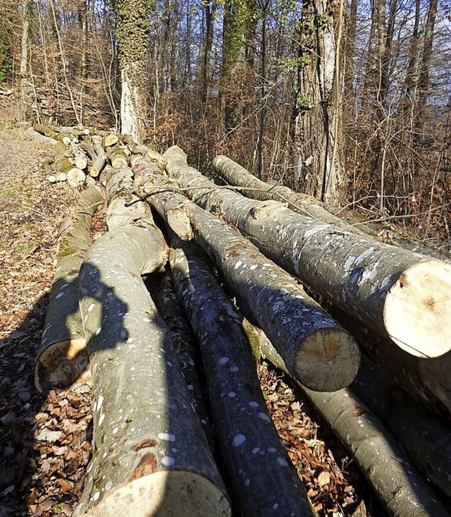 Brennholzversteigerungen gibt es diese...olz kann man aber  dennoch  bestellen.  | Foto: Fiedler