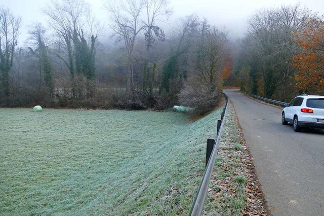 Im unteren Teil der Talstrae zwischen...Wintersweiler und Huttingen aufnehmen.  | Foto: Victoria Langelott