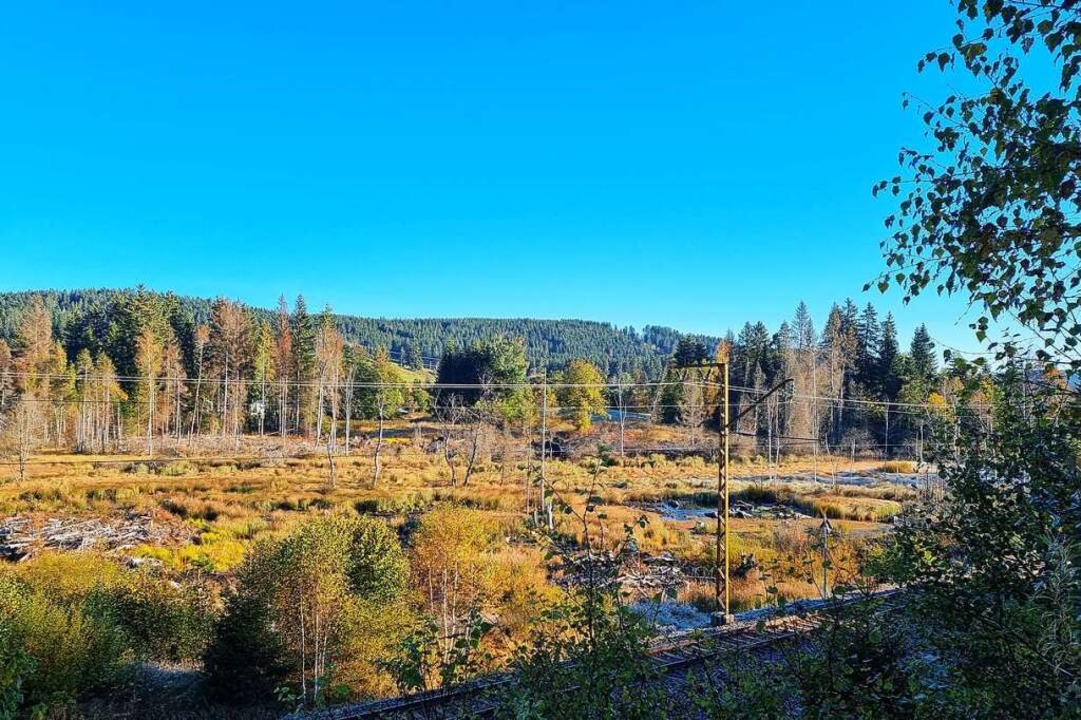 Zwischen Hinterzarten und Titisee ist ...rekt neben einer ehemaligen Mllhalde.  | Foto: Nadine Klossek-Lais