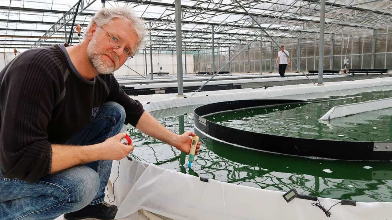 Landwirt  Johannes Heins  hat ein neue...r im Aufzuchtbecken seiner Mikroalgen.  | Foto: Steve Przybilla