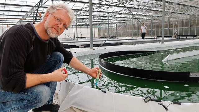 Landwirt  Johannes Heins  hat ein neue...r im Aufzuchtbecken seiner Mikroalgen.  | Foto: Steve Przybilla