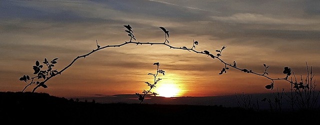 In rot getaucht sind die Vogesen vom Hummelberg aus zu sehen.  | Foto: Angelika Vogelbacher