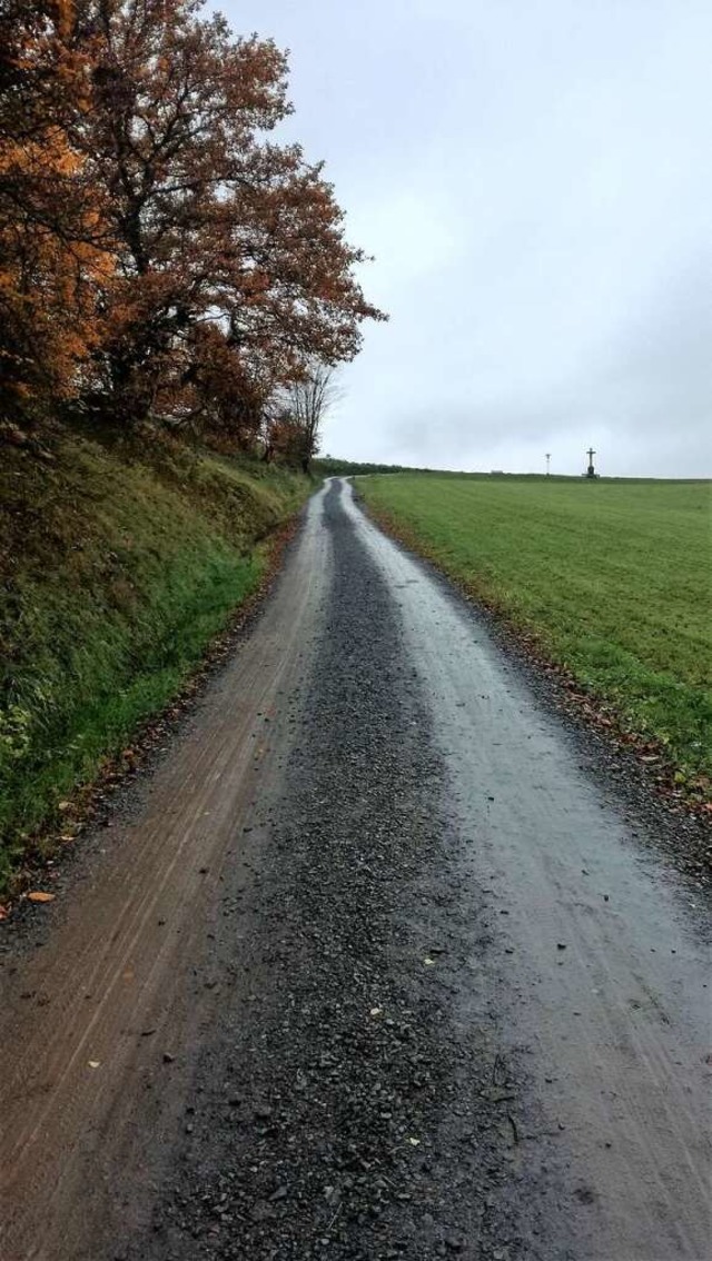 Bisher ist der Leheneckweg nicht asphaltiert.  | Foto: Bernd Strickfaden 