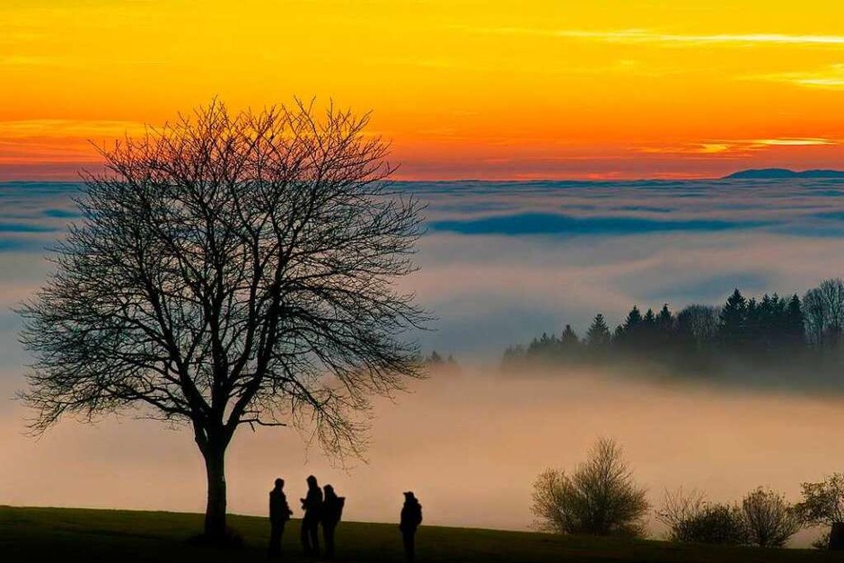 Vom Scheerberg in Freiamt aus verschwand der Kaiserstuhl ganz im Nebel und nur der Grand Ballon, der höchste Berg der Vogesen, ragte am Horizont hervor. (Foto: Paul Trenkle) Vom Scheerberg in Freiamt aus verschwand der Kaiserstuhl ganz im Nebel und nur der Grand Ballon, der höchste Berg der Vogesen, ragte am Horizont hervor. (Foto: Paul Trenkle)