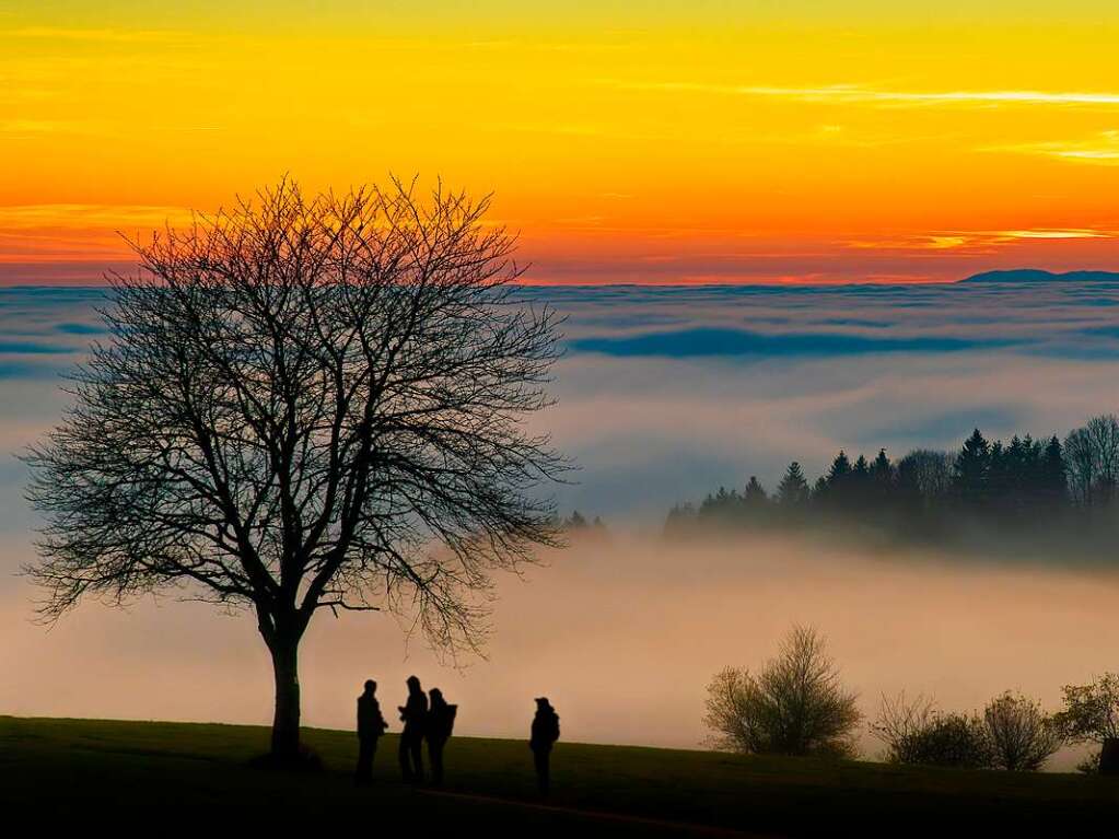 Vom Scheerberg in Freiamt aus verschwand der Kaiserstuhl ganz im Nebel und nur der Grand Ballon, der hchste Berg der Vogesen, ragte am Horizont hervor.