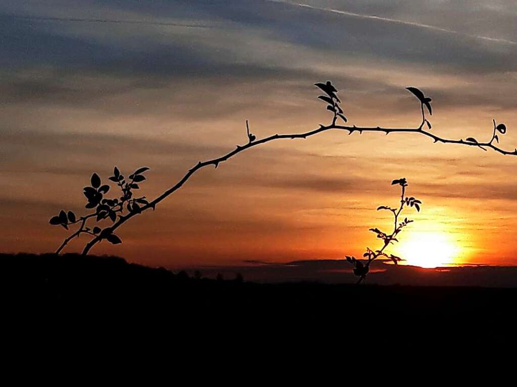 In rot getaucht sind die Vogesen vom Hummelberg aus zu sehen.