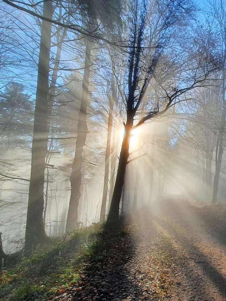 Der Weg auf den Gschasikopf