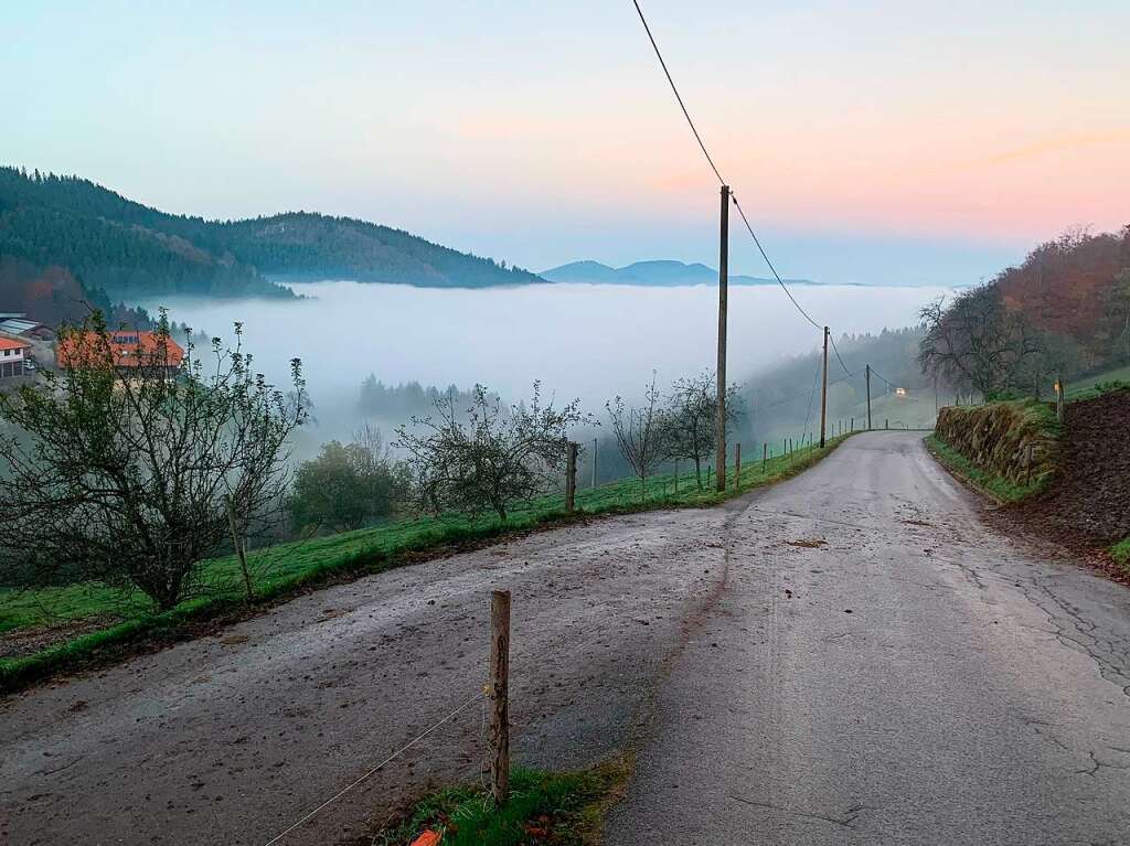 Der Blick von Biederbach Breitebene Richtung Hofstetten