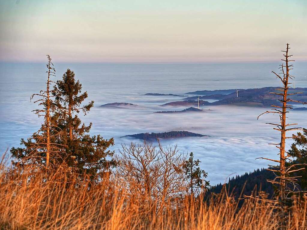 Kurz nach Sonnenaufgang erstrahlte der Kandel in goldenem Licht und im Tal lagen dicke Nebelschwaden.