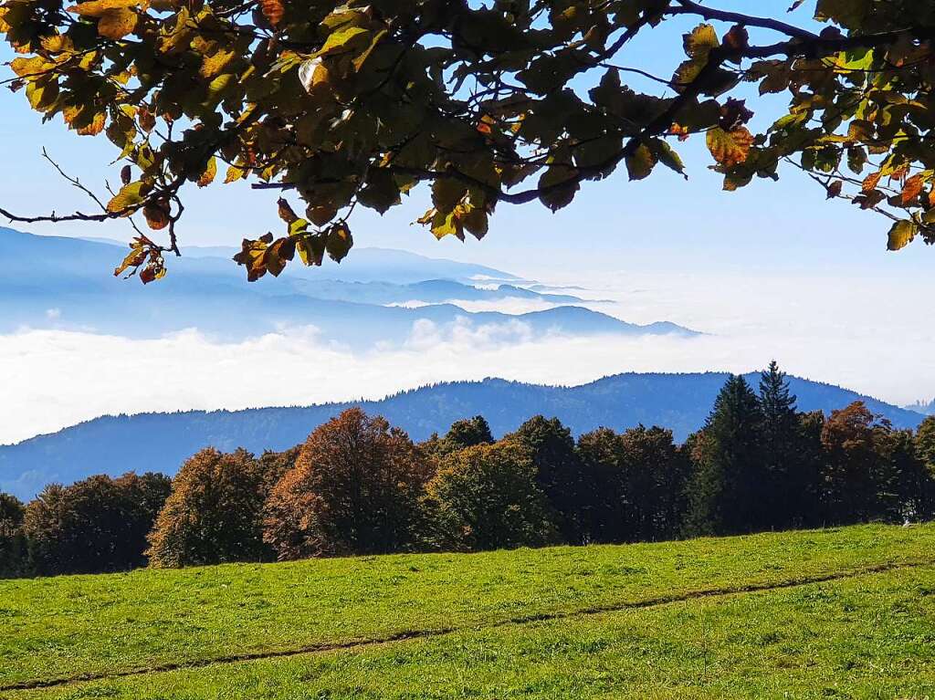 Die Inversionswetterlage lud viele Besucher auf die sonnigen Hhen ein.