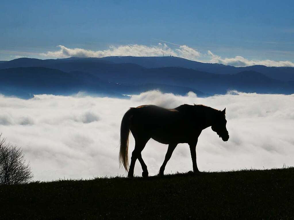 Der Feldberg ragte aus dem Nebelmeer heraus.