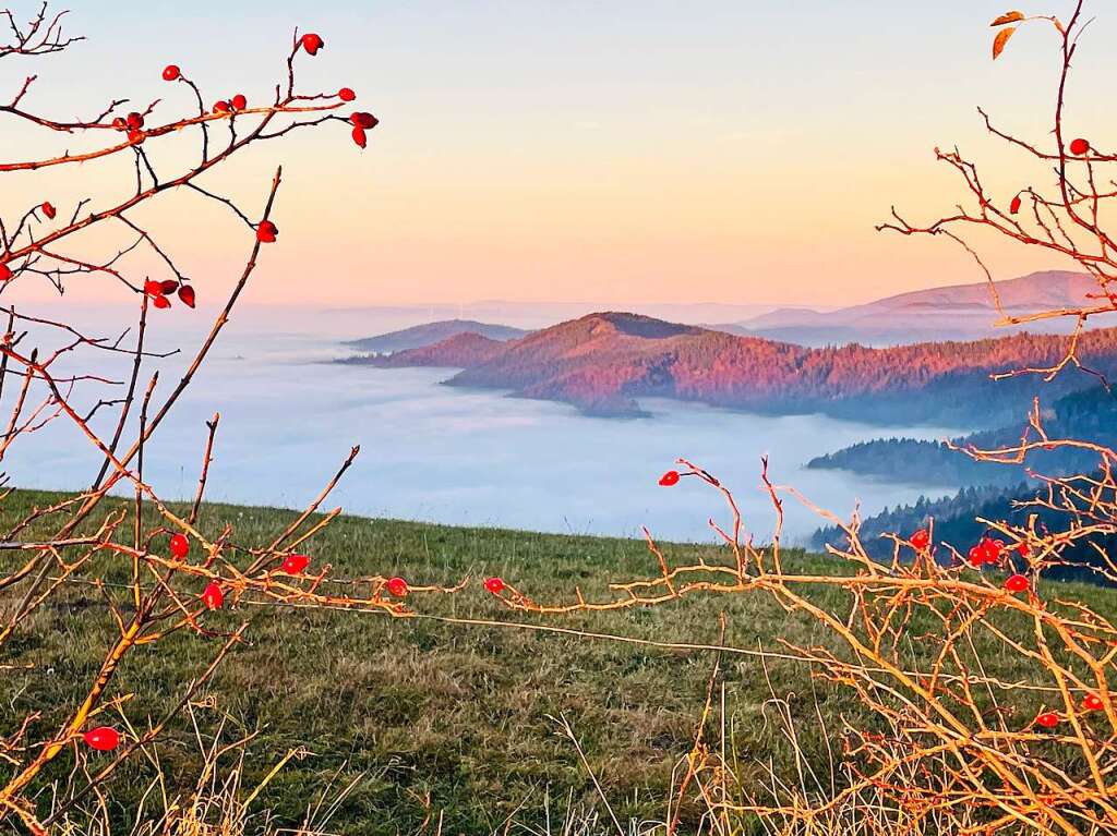 Der Blick aufs Nebelmeer aufgenommen auf der Eduardshhe oberhalb von Horben