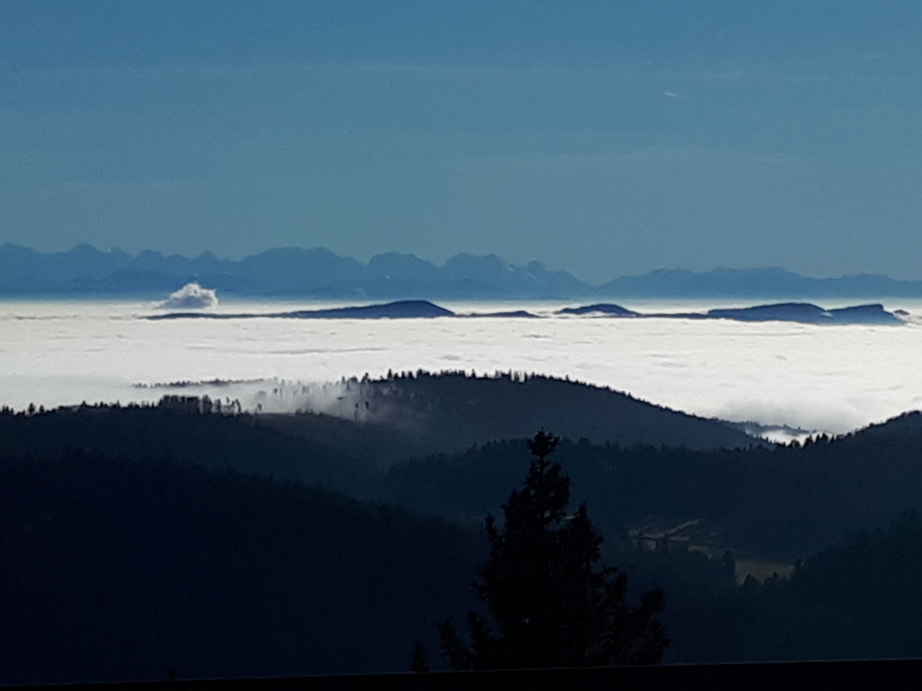 Das Tal liegt unter einer dichten Wolken- oder Hochnebeldecke, auf den Hhen des Hotzenwalds ist Bombenwetter mit einer Fernsicht bis zu den Alpen.