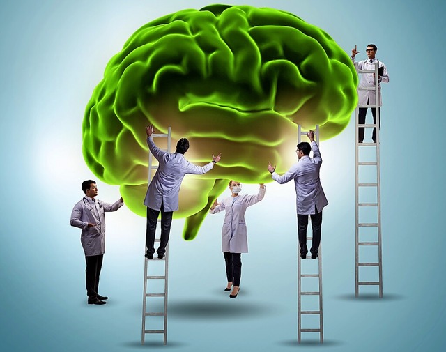Bei der biologischen Psychologie wird erforscht, was im Gehirn passiert.  | Foto: Elnur - stock.adobe.com
