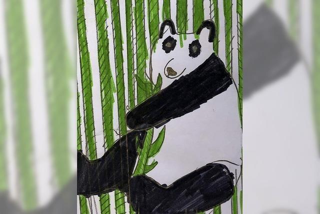 Bedrohte Pandas