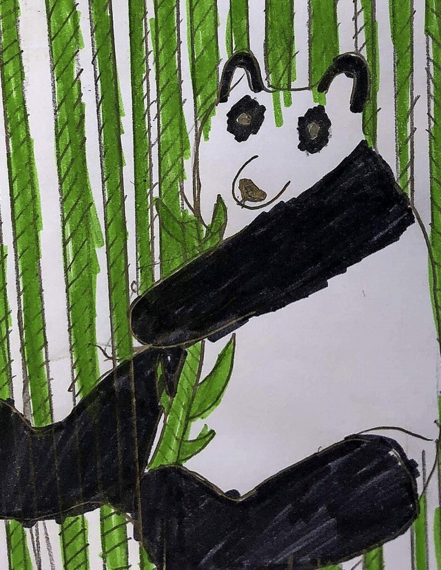 Ein Panda sitzt im Bambus. Gezeichnet von Alex Iures und Emiglia Kaiser  | Foto: Privat